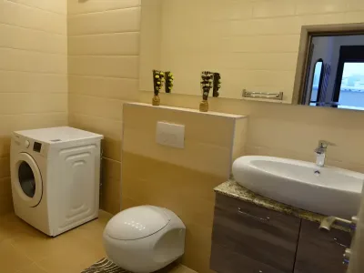 baie moderna complet utilata inchiriere casa Sector 1 București